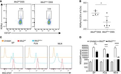 MSI2 deficiency in ILC3s attenuates DSS-induced colitis by affecting the intestinal microbiota